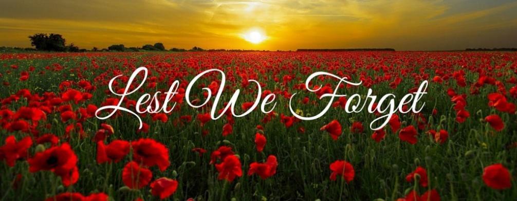 Field of red poppies at sunset