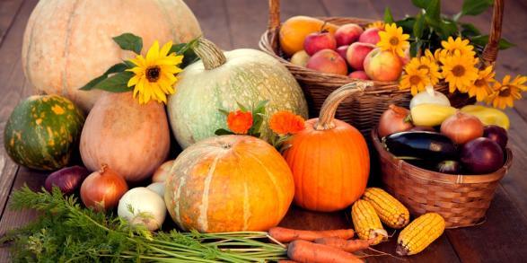 Pumpkins, squash, and fresh produce arranged for harvest